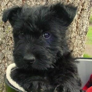 Meet your Posher, Anna maria